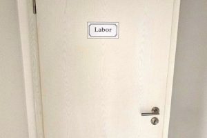 32fb8c1a-d0ed-4c71-b2af-3cc8ee2e257f