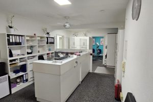 b1c54a09-82d3-41d8-99e7-1f67cf019bab